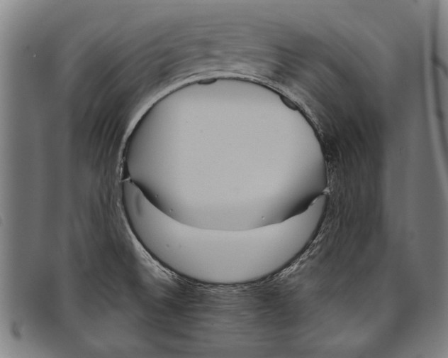 X0000097761524200804041114