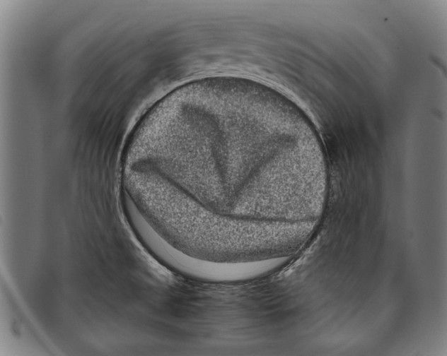 X0000097761525200804041114