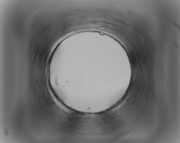 X0000097761526200804041114