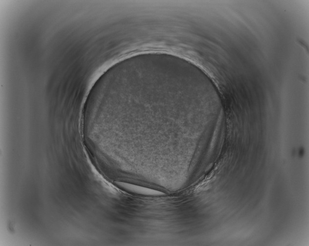 X0000097761527200804041114