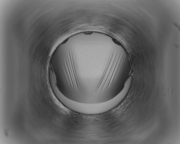 X0000097761528200804041114