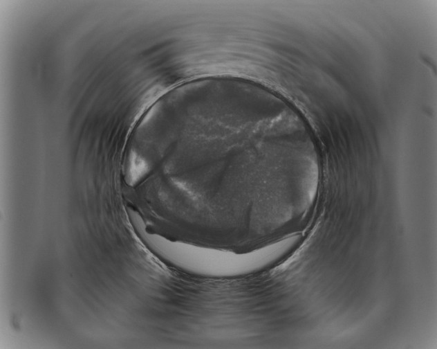 X0000097761529200804041114