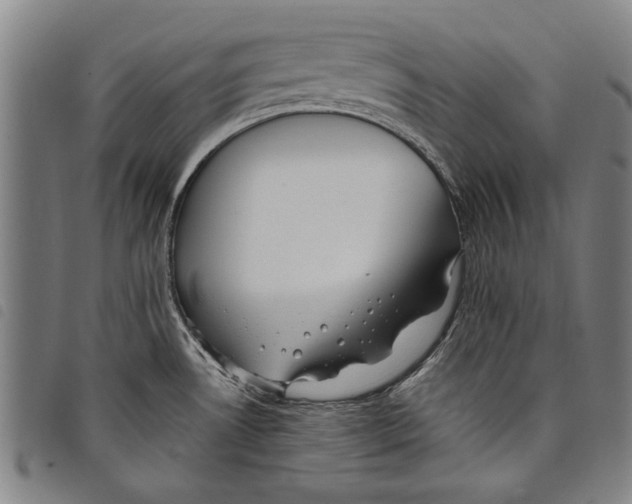 X0000097761530200804041114