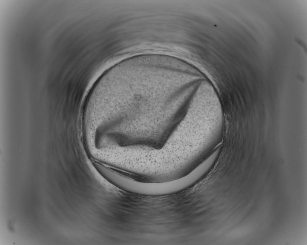 X0000097761531200804041114