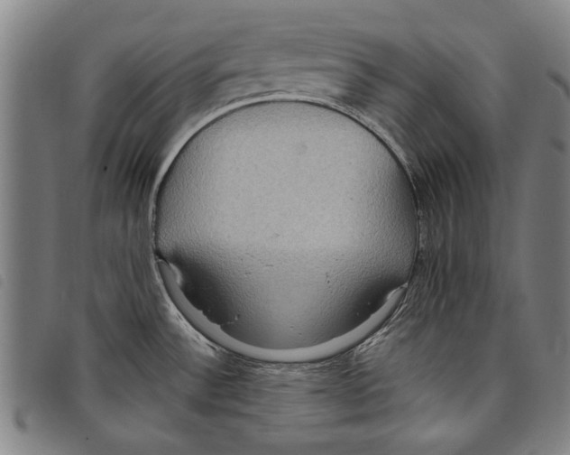 X0000097761532200804041114