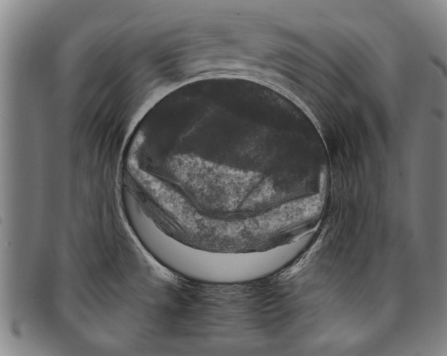 X0000097761533200804041114