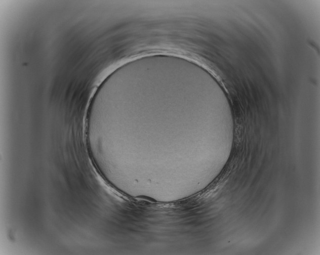 X0000097761535200804041114