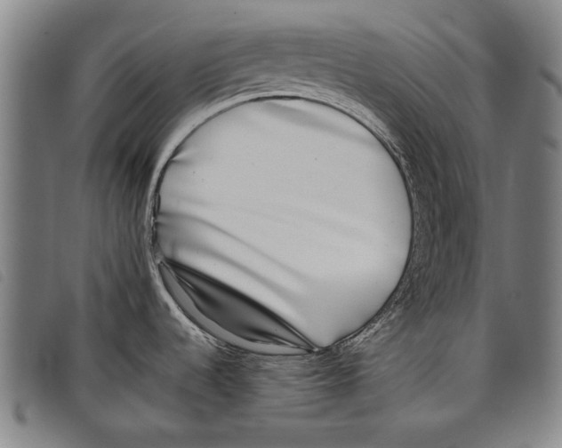 X0000097761536200804041114