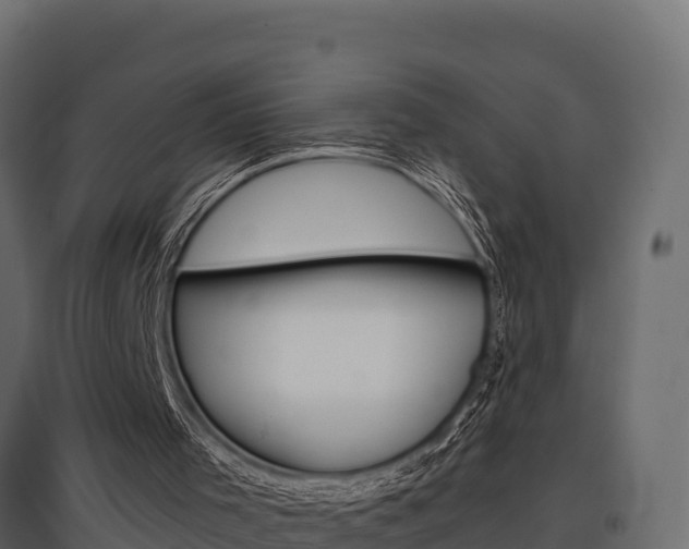 X0000097770001200803070911