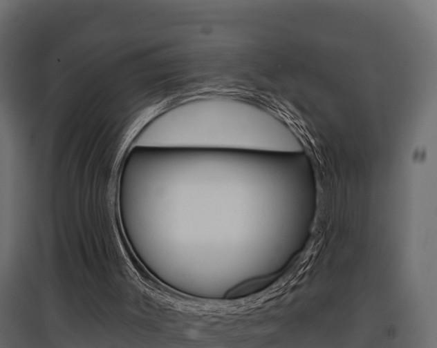X0000097770003200803070911