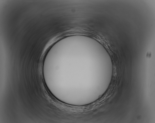 X0000097770004200803070911