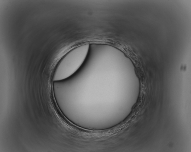 X0000097770005200803070911