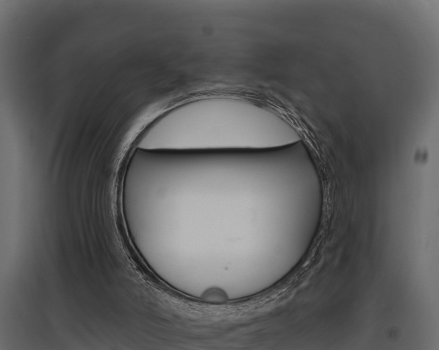 X0000097770006200803070911