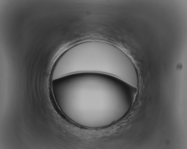 X0000097770007200803070911
