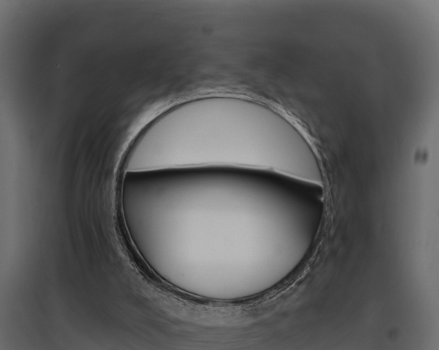 X0000097770008200803070911