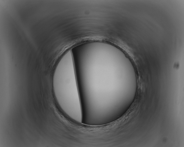 X0000097770013200803070911