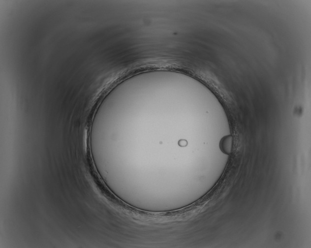X0000097770014200803070911