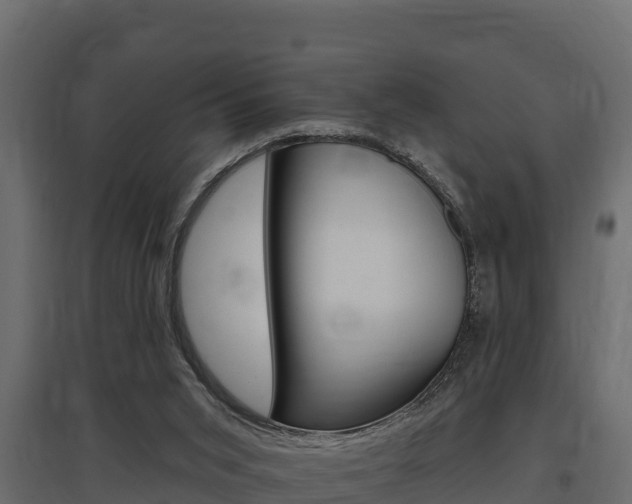 X0000097770015200803070911