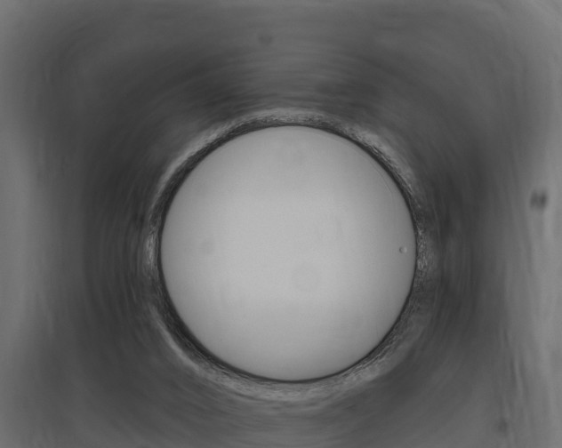 X0000097770016200803070911
