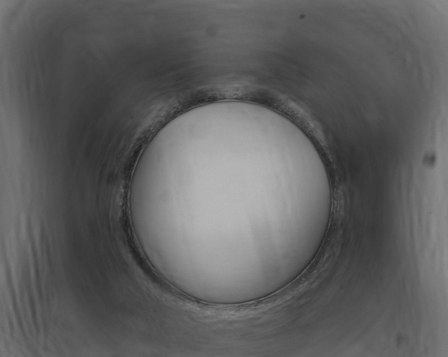 X0000097770018200803070911