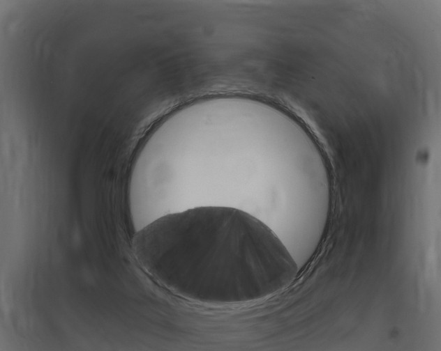 X0000097770019200803070911