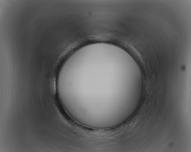 X0000097770020200803070911