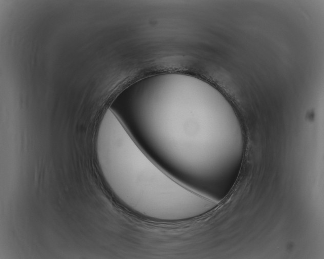 X0000097770021200803070911