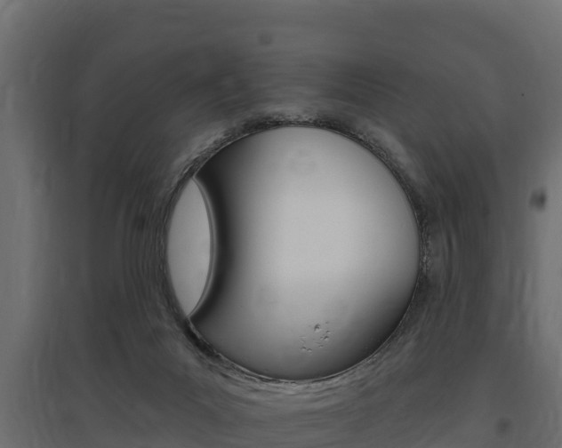 X0000097770023200803070911