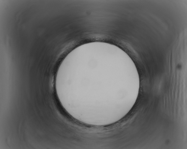 X0000097770024200803070911