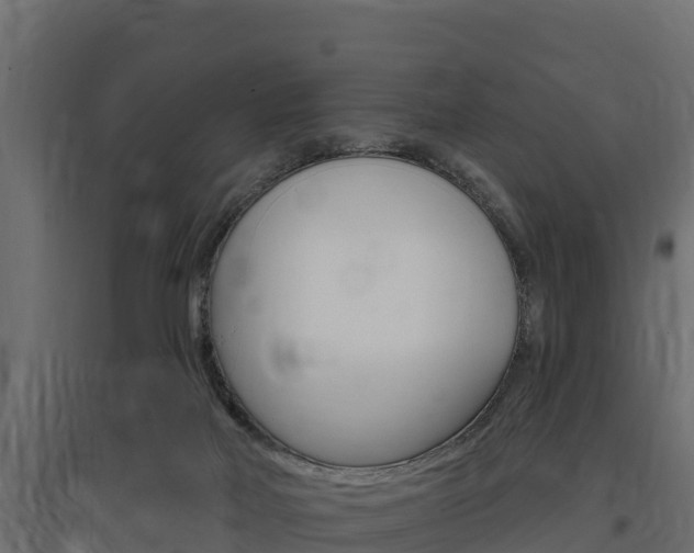 X0000097770026200803070911