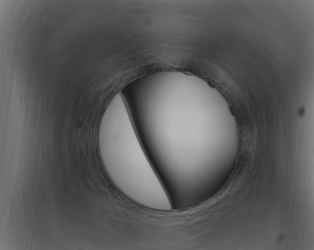 X0000097770029200803070911