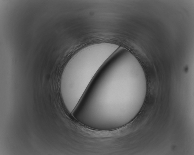 X0000097770031200803070911