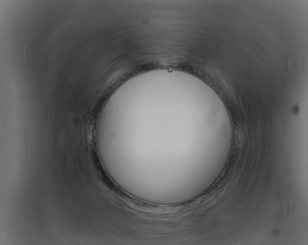 X0000097770032200803070911