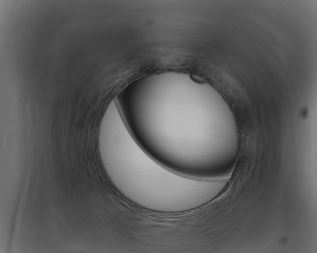 X0000097770033200803070911