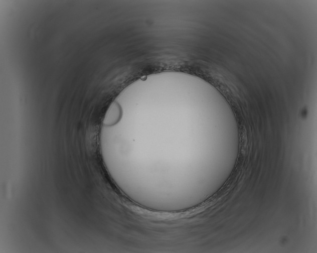 X0000097770034200803070911