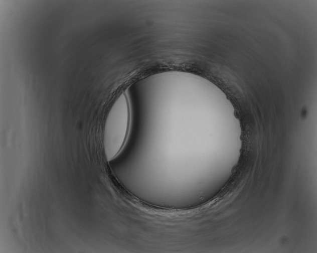 X0000097770040200803070911