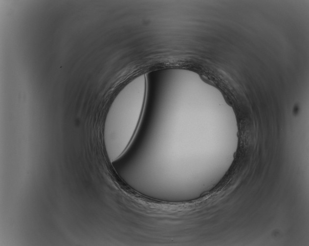 X0000097770044200803070911