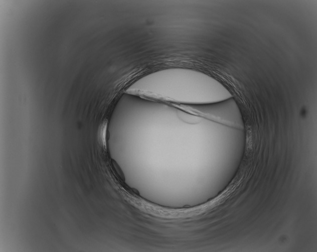 X0000097770047200803070911