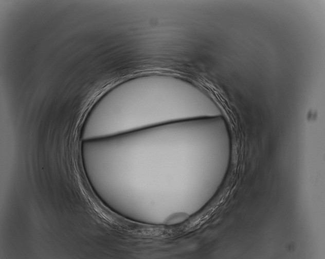 X0000097770049200803070910