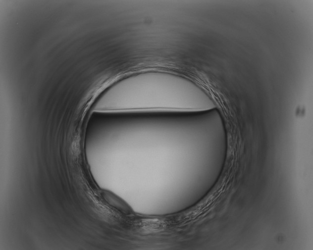 X0000097770050200803070910