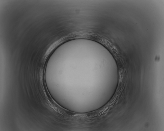 X0000097770051200803070910
