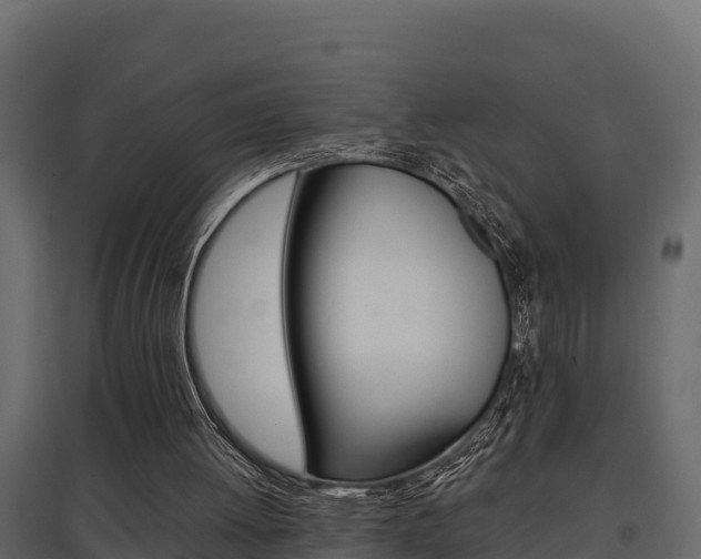X0000097770052200803070910