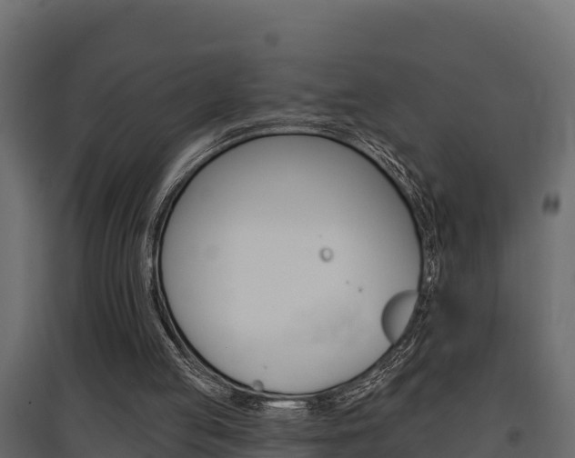 X0000097770053200803070910