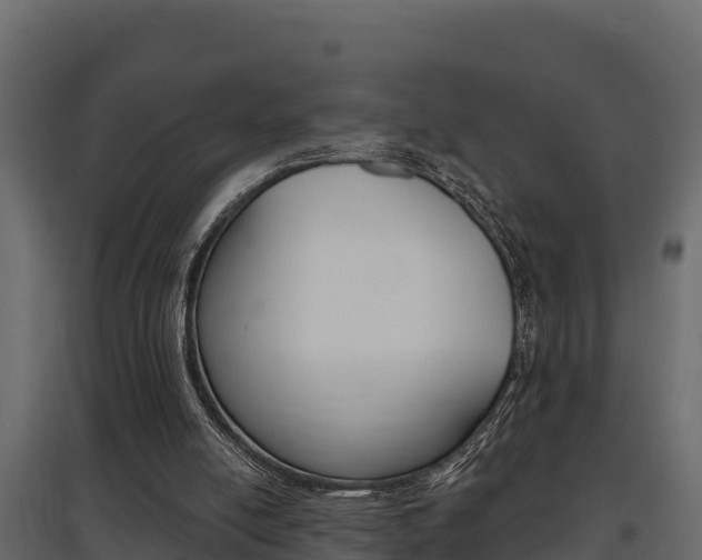 X0000097770054200803070910