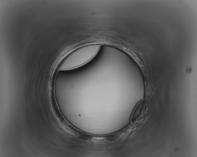 X0000097770055200803070910