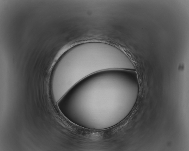 X0000097770056200803070910