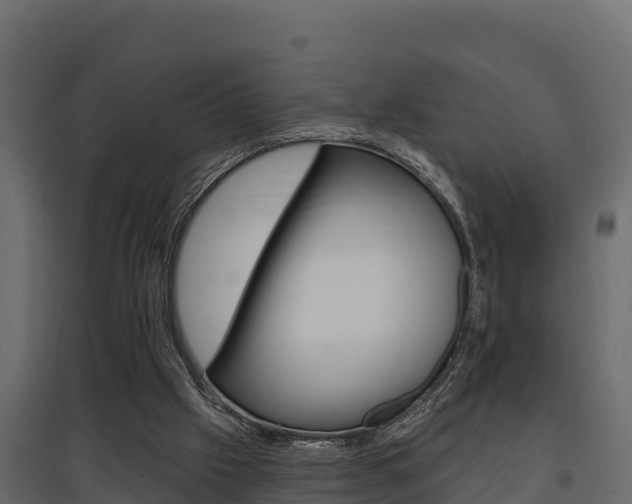 X0000097770057200803070910