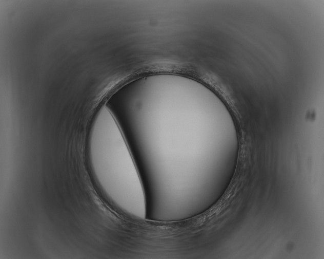 X0000097770058200803070910