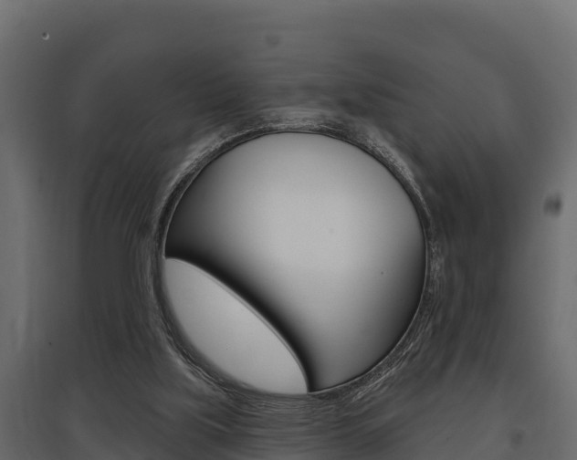 X0000097770059200803070910