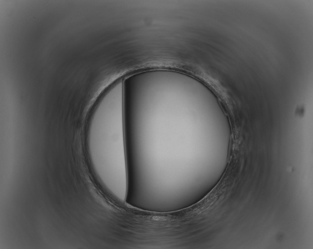 X0000097770060200803070910